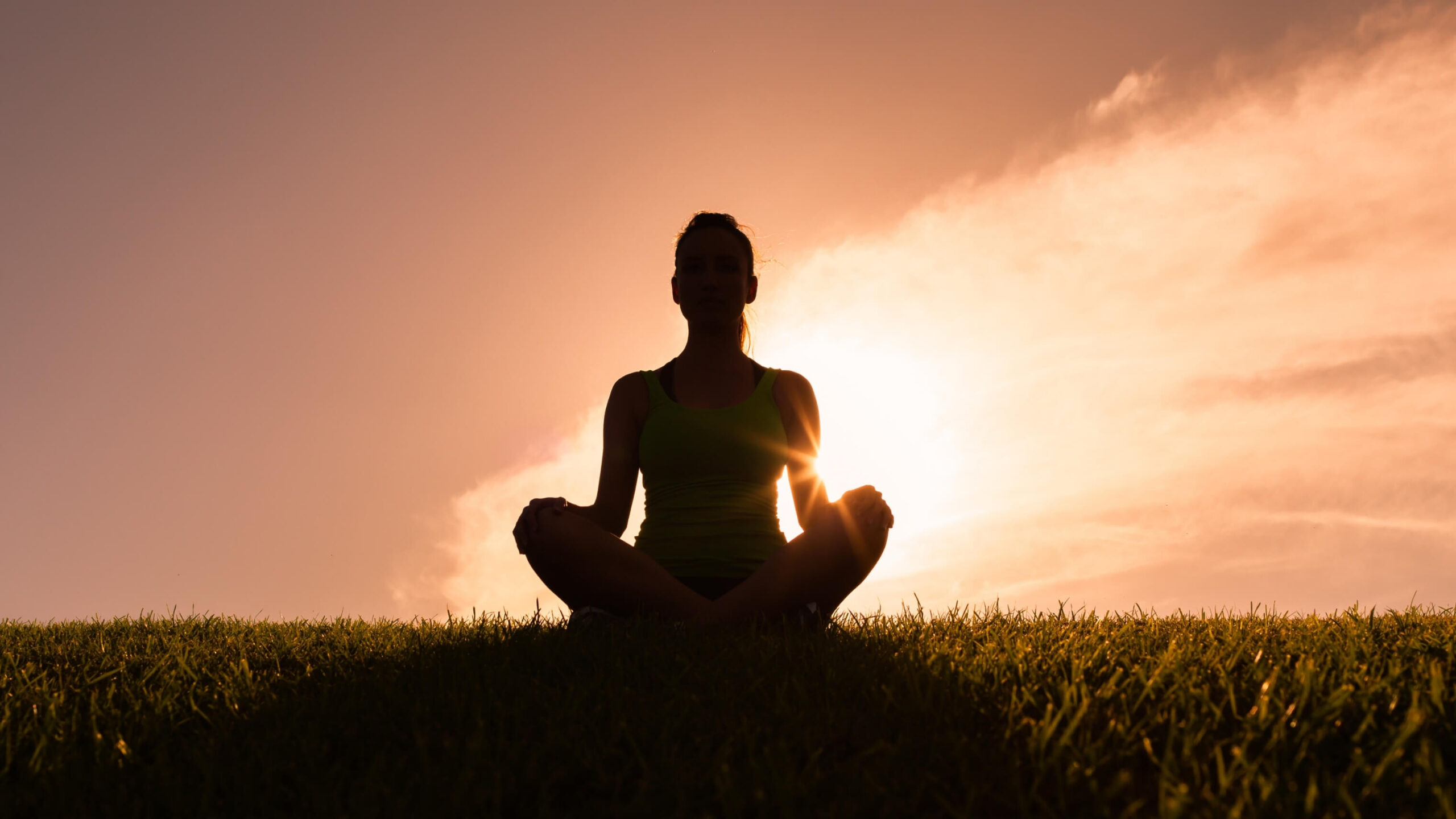 Meditação do Solstício de Verão Ilumine Sua Consciência para 2026